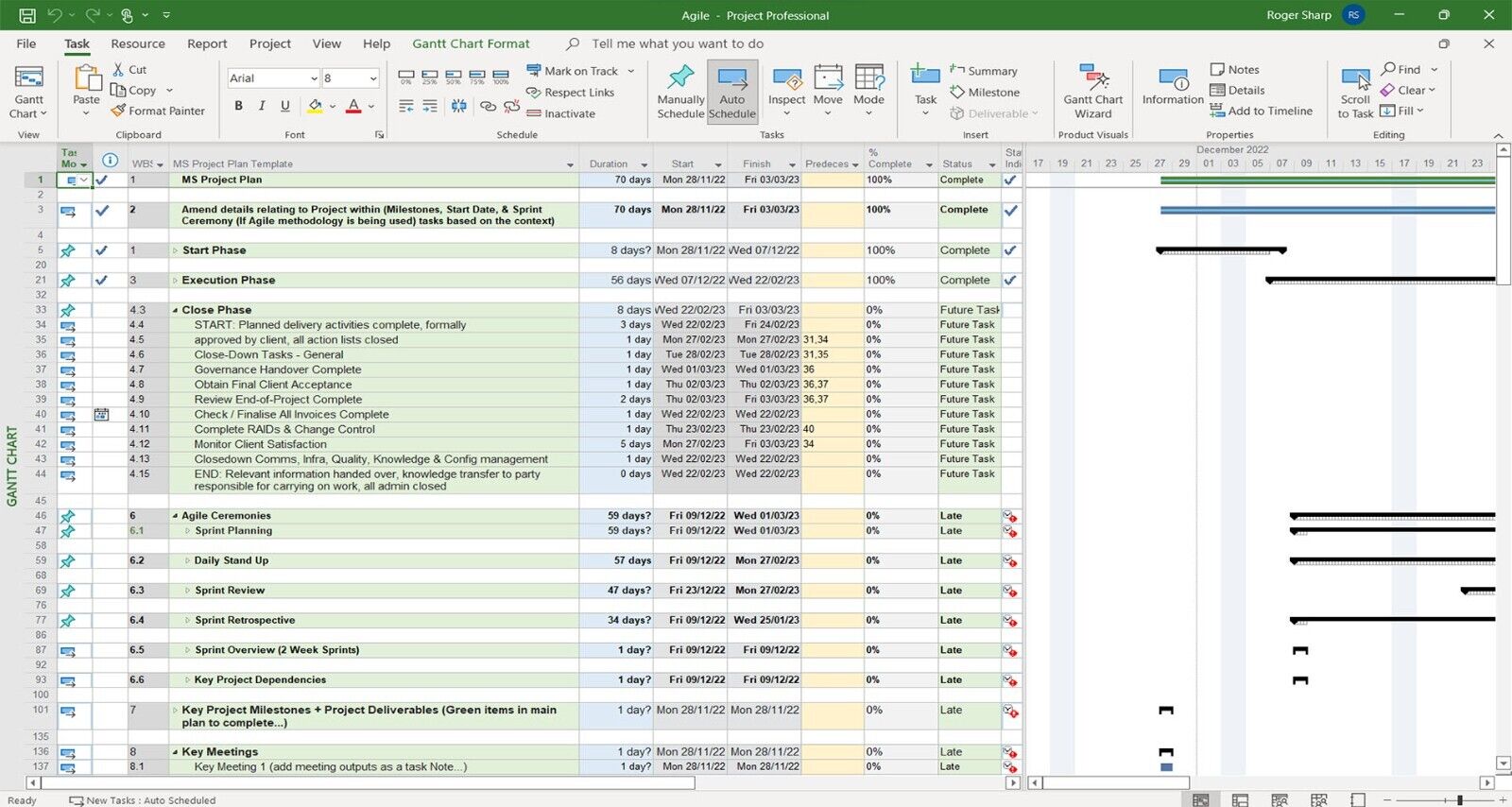 Project Management Templates, Project Management Excel Templates, MS Project