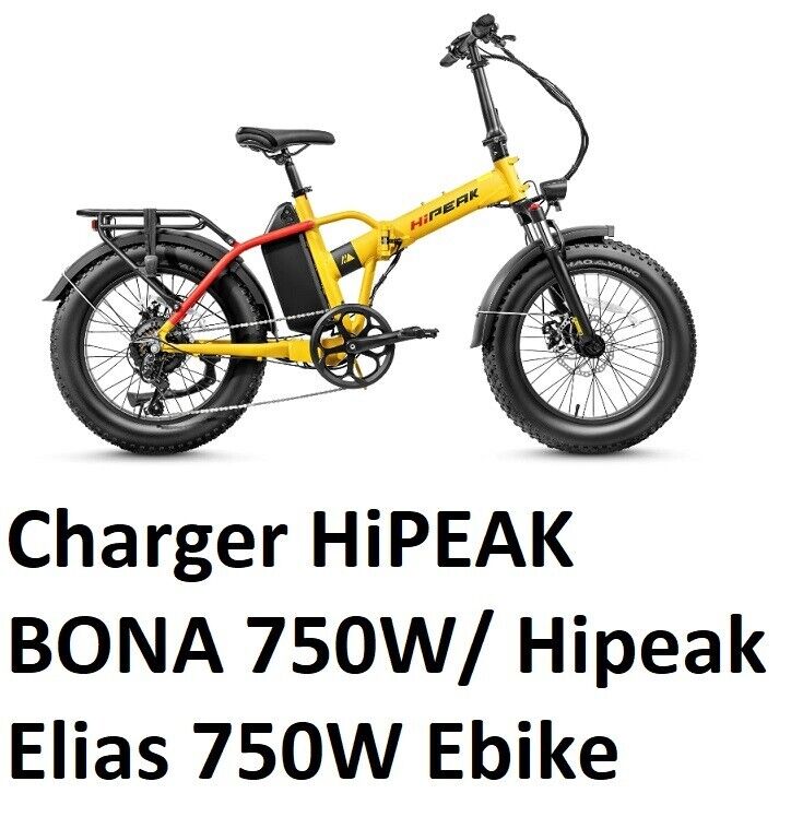 🔥AC Adapter battery Charger for Hipeak bona hipeak elias ebike