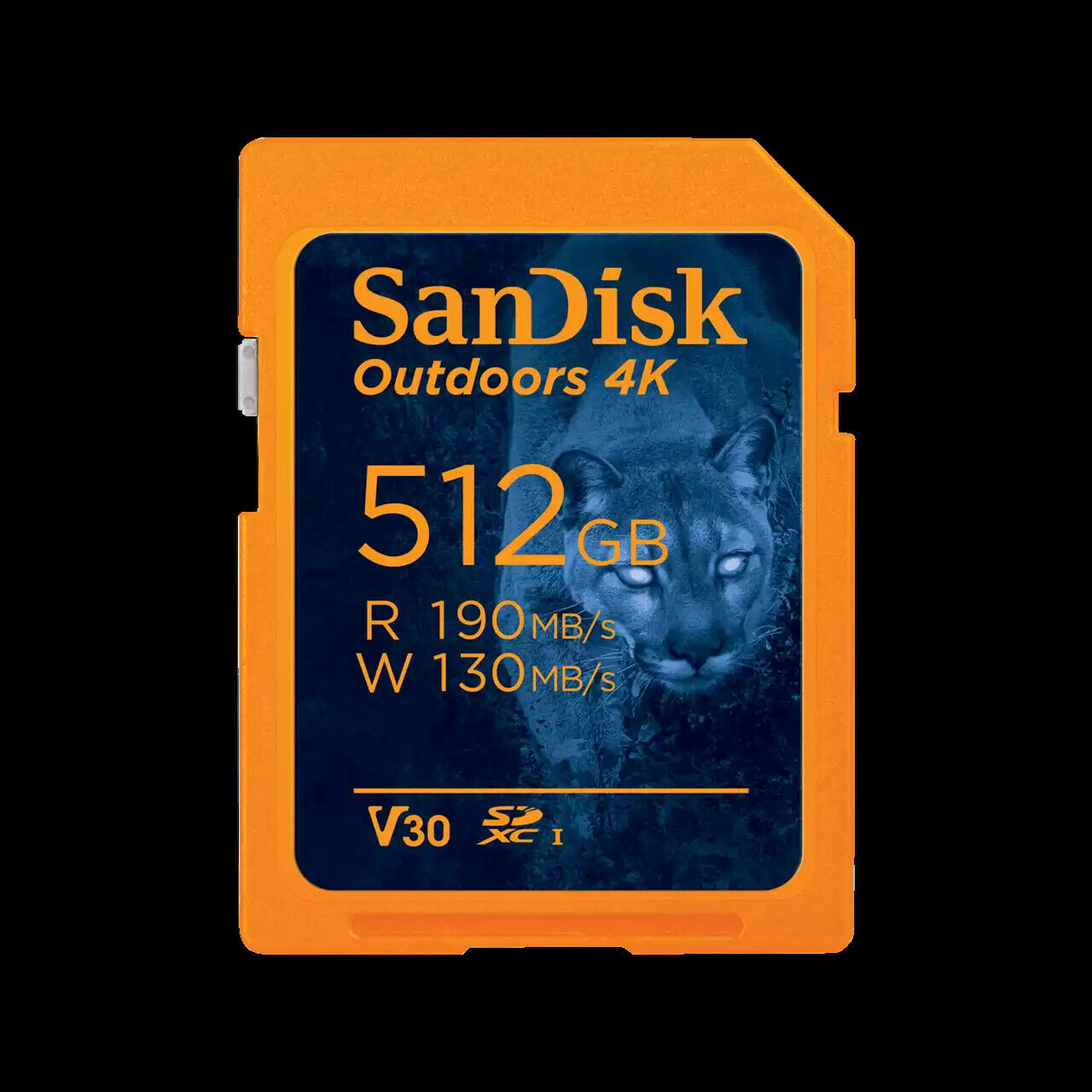 SanDisk 512GB Outdoors 4K SD UHS-I SDXC Memory Card - SDSDXWV-512G-GN6VN