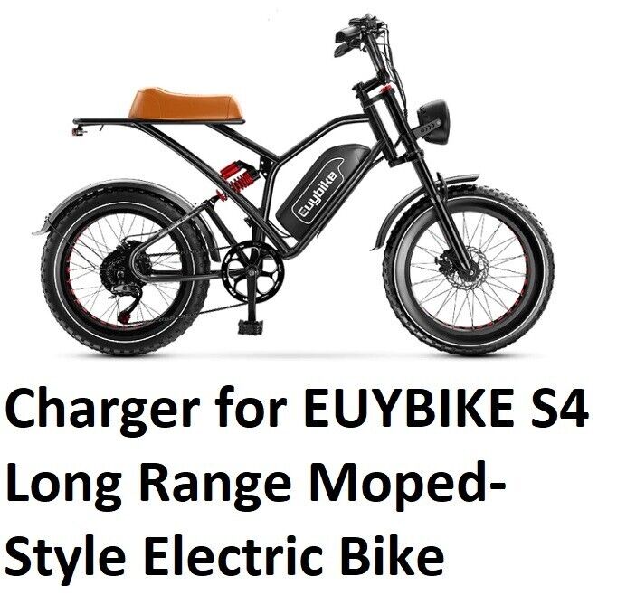 🔥Fast battery charger for EUYBIKE S4 Moped style Electric Bike 3A