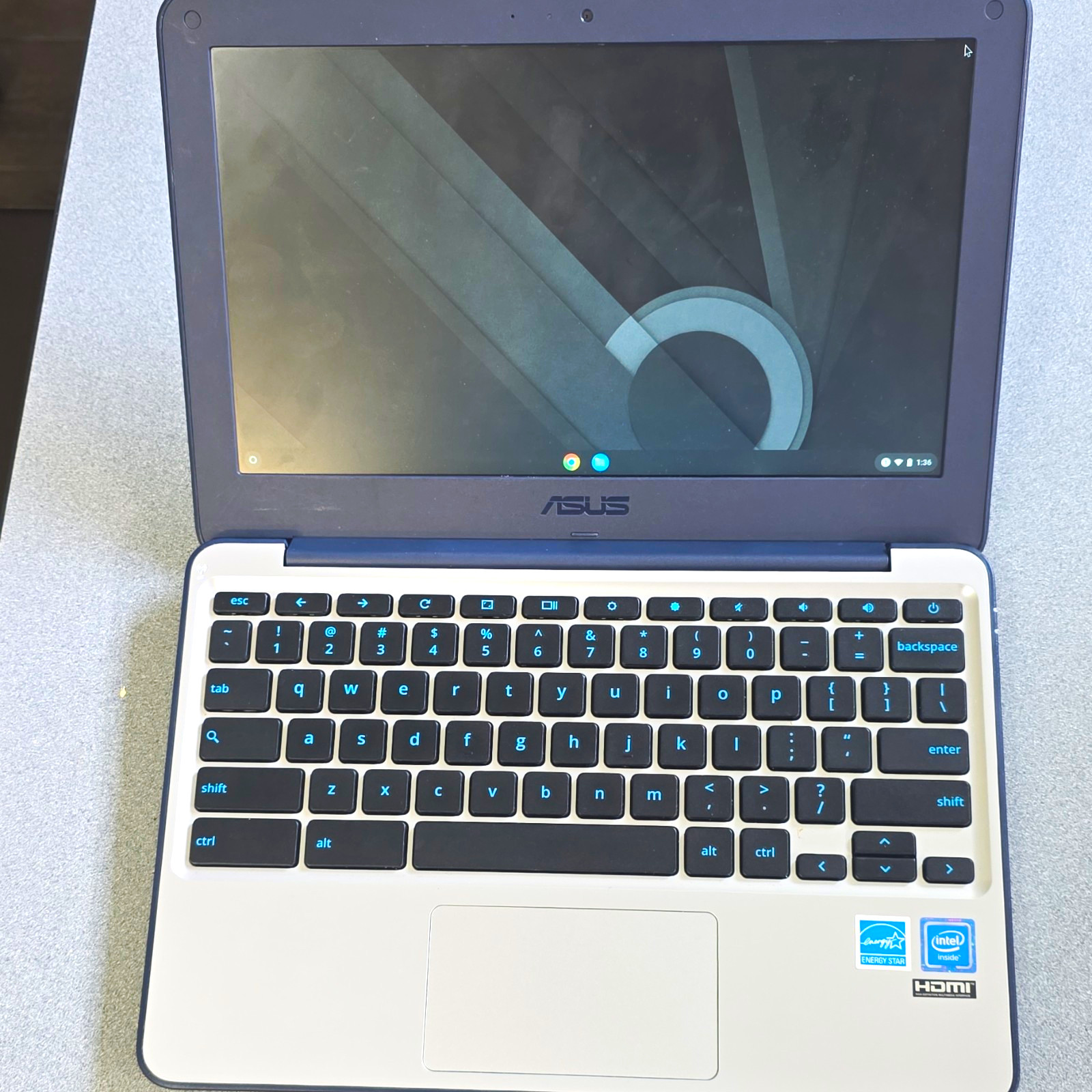 ASUS C202S Chromebook 11.6in Intel Celeron 4GB 16GB eMMC Chrome OS White NJ NYC ASUS C202S Chromebook 11.6in Intel Celeron 4GB 16GB eMMC Chrome OS White NJ NYC