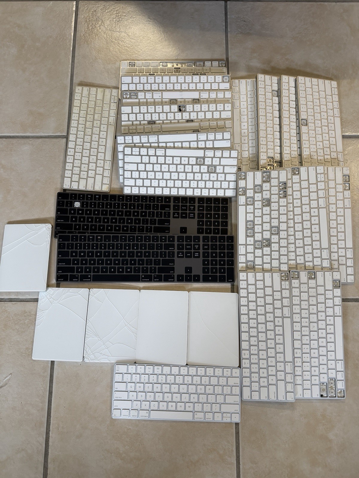 Apple Keyboards And Trackpads Lot Of 20 Apple Keyboards And Trackpads Lot Of 20