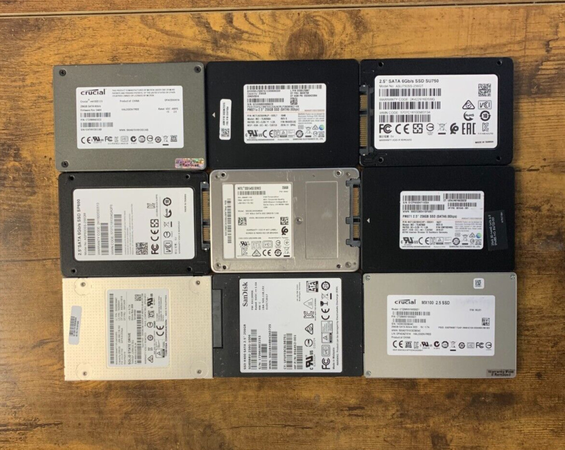 [ BULK LOT OF 10 ] SSD 256GB Various SSDs Samsung SanDisk Crucial Intel