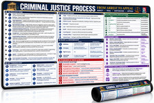 Criminal Justice Study Guide Law Desk Mat 16x32, Large Desk Pad, Law Cheat Sheet picture
