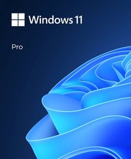 Microsoft Windows 11 Pro 64-Bit USB Flash Drive picture