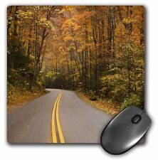 3dRose North Carolina, Great Smoky mountain, Autumn Road - US43 JWL0053 - Joanne picture