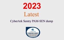 CyberArk Sentry – PAM PAM-SEN dump GUARANTEED (1 month update) picture
