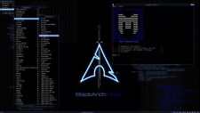 BlackArc Linux Hacking Live USB 3.0 Operating System: 2800+ Tools for Pentesting picture